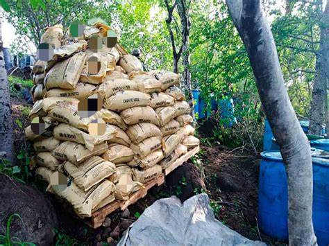 Destruyen 6.5 toneladas de precursores químicos asegurados durante operativos en Tlaxcala