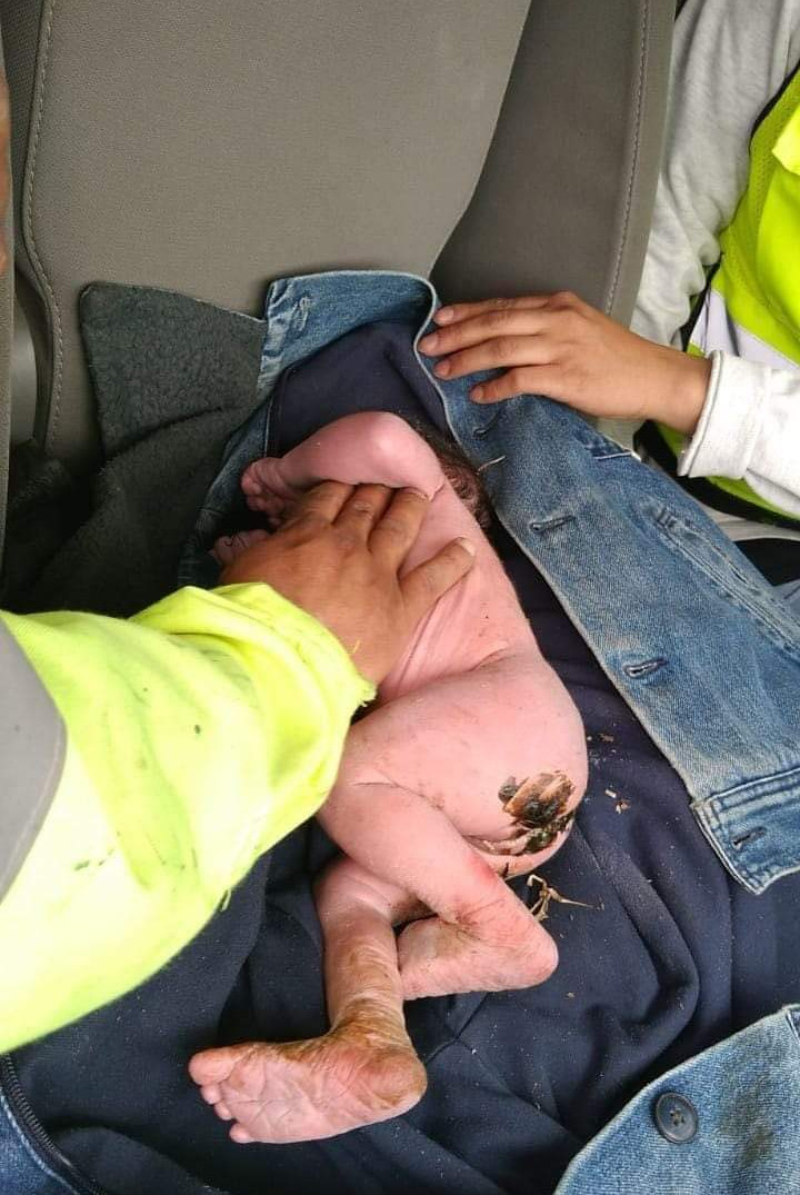 Hallan a bebé abandonado en lote baldío en Metepec