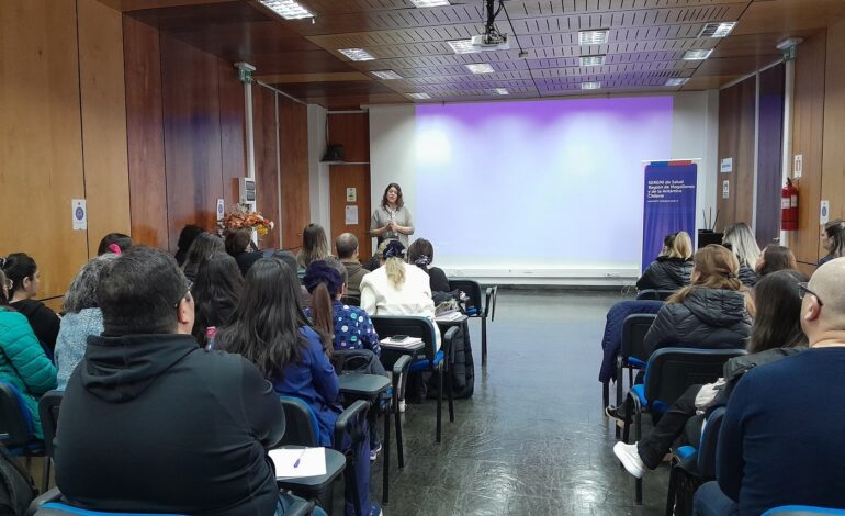 Equipos de inmunizaciones de la SEREMI y Servicio de Salud Magallanes realizan Taller con miras a la Campaña de Vacunación de invierno