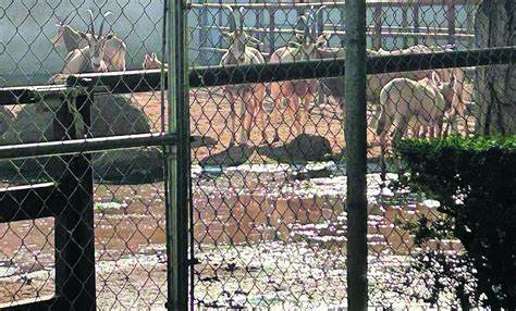 En emergencia el zoológico por descarga de agua