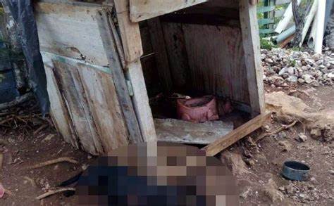 Sujeto mutila patita a un perro y huye; vecinos de Umán en Yucatán intentan linchar a familiar del agresor