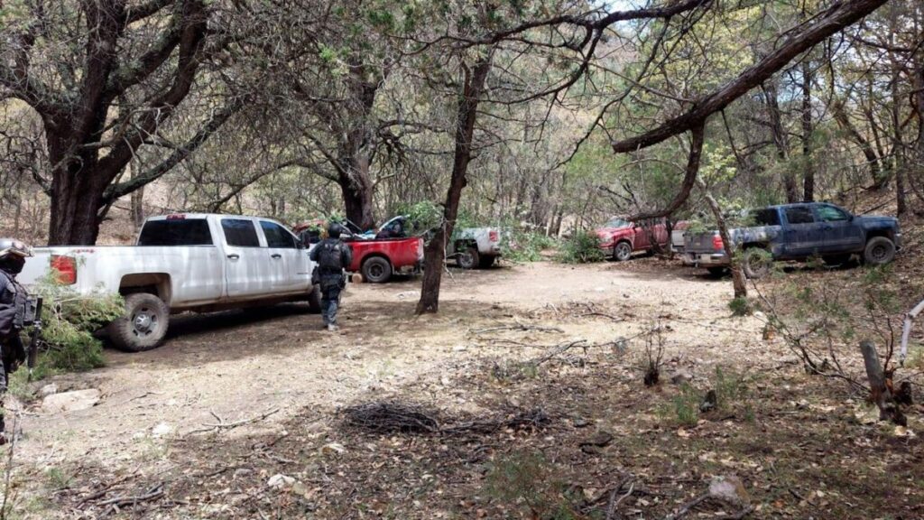 ¡Alerta en Zacatecas! Decomisan arsenal y droga en dos campamentos del Cártel Jalisco