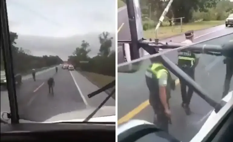 Reportan ataque armado en la autopista México-Tuxpan