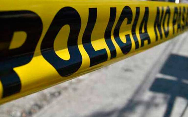 Encuentran a perro con restos de un feto en el hocico en Texmelucan, Puebla